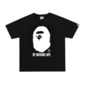 D729 Black