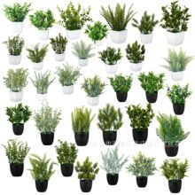 ���ϾGֲ���ԽM�� �Ҿ��b�Ʒ�������Է���ֲ���辰TEMU�羳SHEIN