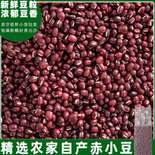 ��С����؛����s�Z�Ǽt���L����С������޲�������t��޲�׶�ɳ
