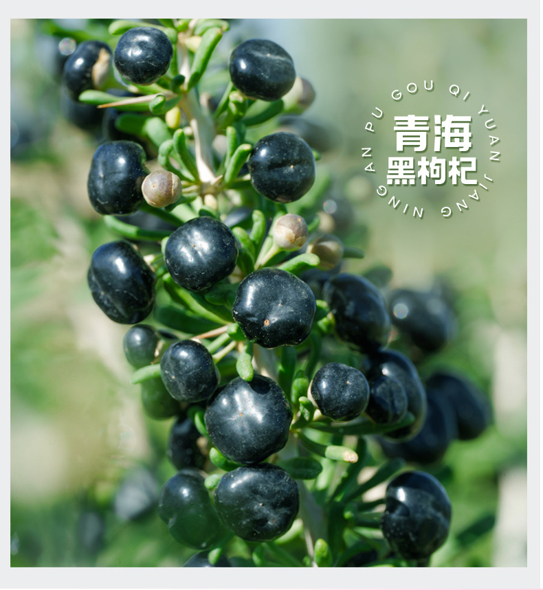 Ning'anbao Red and Black Goji Berry Juice Concentrate 2.7L Ningxia Goji Original Pulp Large Capacity specifications