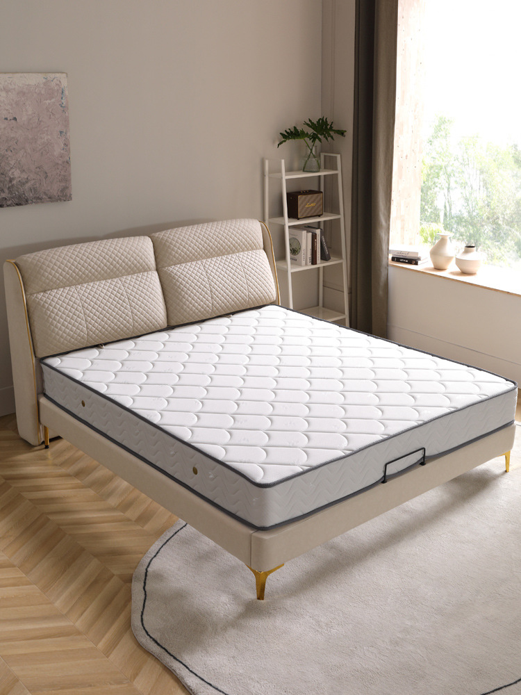 木月椰棕床垫1.51.8米正品弹簧床垫经济型双人席梦思天然3E椰梦维