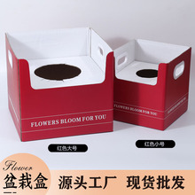 �t����������m���Ứ�в廨���b�����������ԶY�жY���ߙn���b