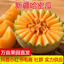 �½������������۹��ܹ����rˮ���W�y������۹��ЋDˮ��һ�����l
