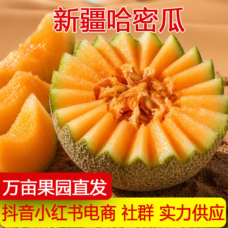 新疆吐鲁番西州蜜哈密瓜新鲜水果网纹瓜甜脆蜜瓜孕妇水果一件代发