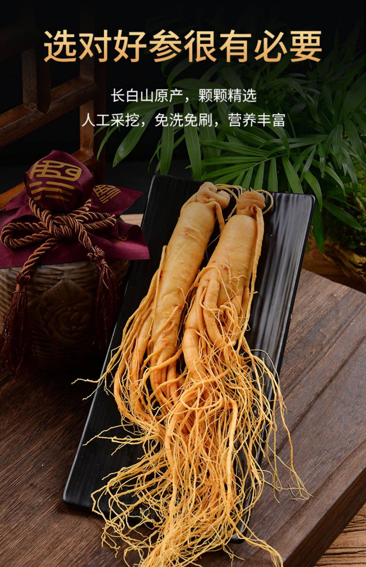 Fresh White Ginseng Root Extra Large Changbai Mountain Ren Shen Soup Tea Wine Ingredient specifications