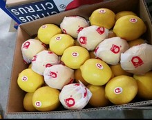 四川安岳新鮮黃檸檬批發奶茶店專用水果