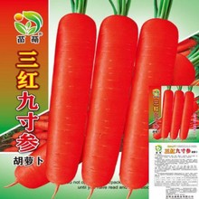 胡蘿卜種子高產胡蘿卜種子 蔬菜種子紅蘿卜種子 胡蘿卜種子批發