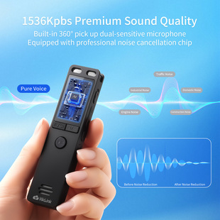 Recording Pen High-Definition Noise Reduction Long-Time Professional Recording Equipment Learning Business Interview Recording Artifact Mp3 Portable