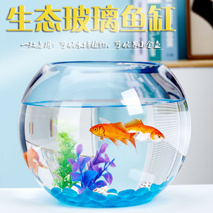 Office Desk Glass Fish Tank Goldfish Tank Aquarium Living Room Small Desktop Turtle Tank Transparent Round Home Landscaping
