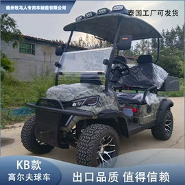 高尔夫球车;电动观光车