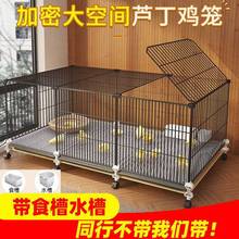 ���ӻ\���ش����J���u�\С�u�����҃����r�Bֳ�u�\�g���\���ô�