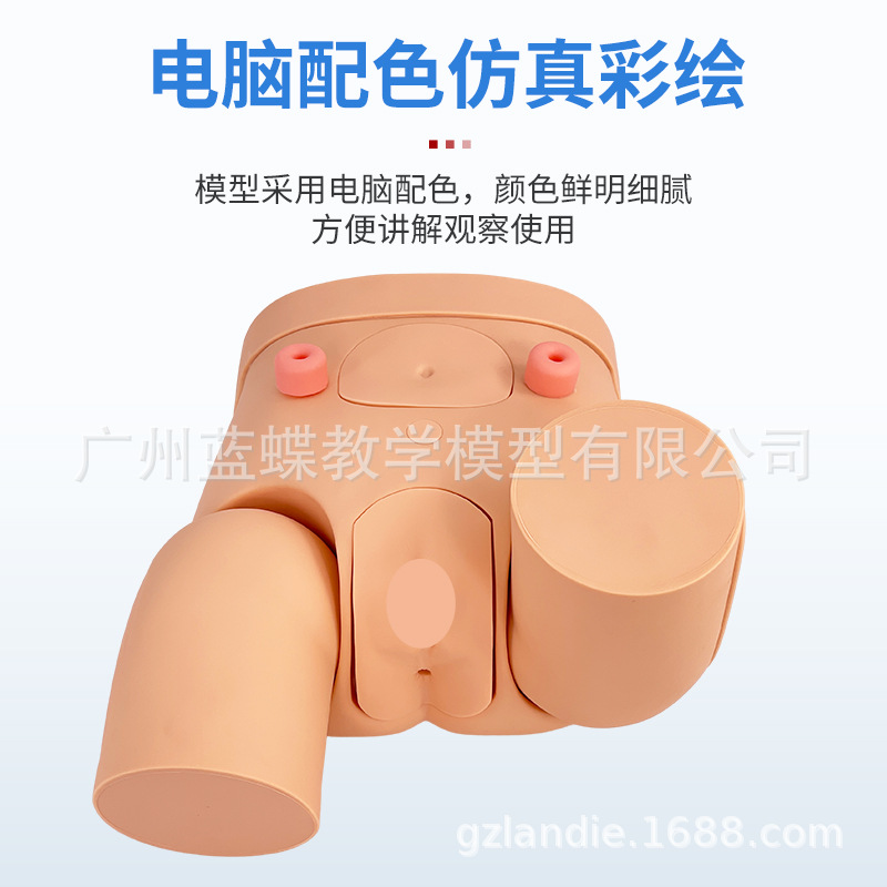 ����������ֳ����ģ�ͼ��׵���ģ����Ů�Ե���ѵ����ʾ��ϰģ��