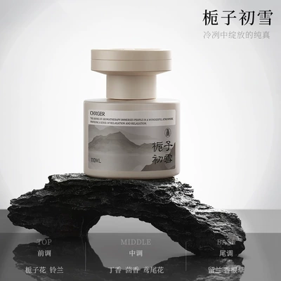 2026 New Model Home Fragrance, Car Perfume Aromatherapy