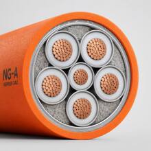 NG-A (BTLY) ���ԵV��^��������| 0.6/1kV �~о�X�o����������
