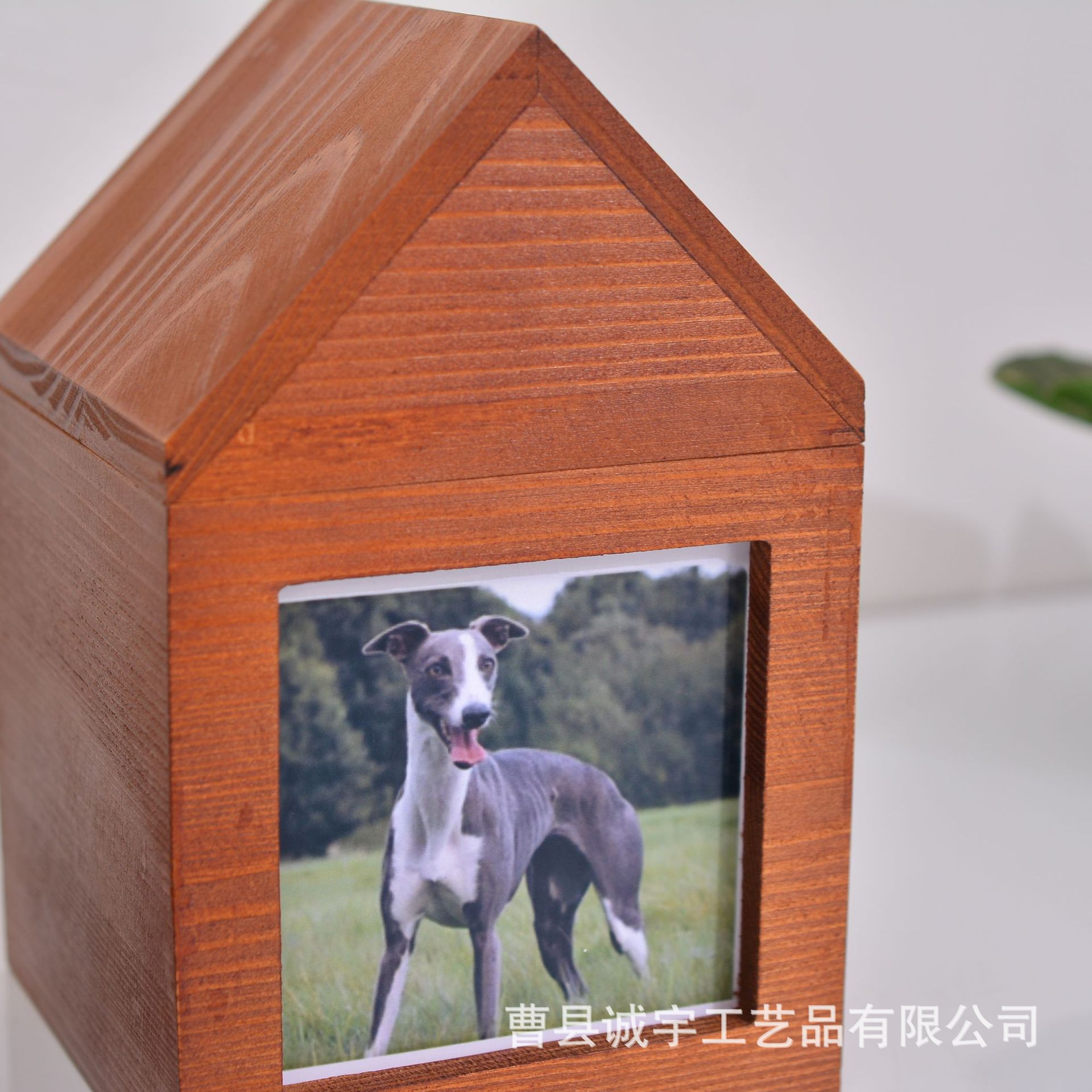 DSC_0866 - 副本.JPG