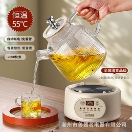 养生壶;电热杯;电动煮茶器