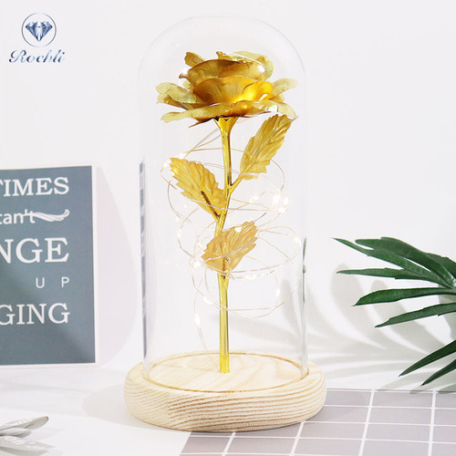 Eternal Flower Glass Dome Acrylic LED Lamp Gold Foil Rose Mother's Day 520 Valentine's Day Gift for Girlfriend