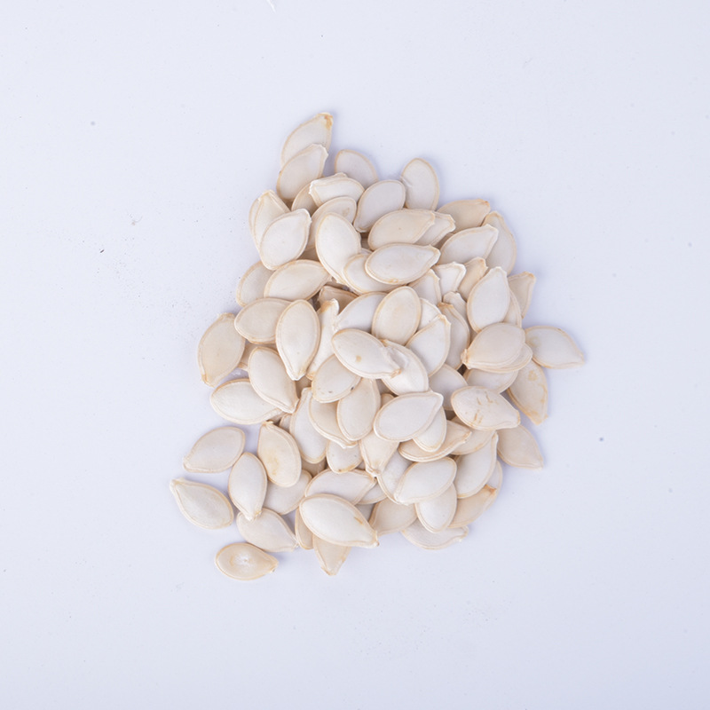 西葫芦种子小瓜菜瓜茄瓜角瓜窝瓜占瓜种籽四季播种产量高-阿里巴巴