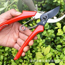 ̨����������֦����֦�� ժ���� ����� ��֦�� ��ľ�޼�120/120T
