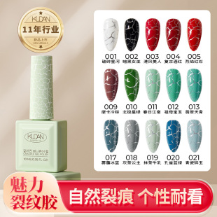 2024���¿�y���Ѽ����z�������׵�����ɫ��ʽ��׷��ָ�����z