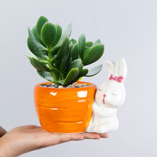 创意兔子多肉花盆可爱小花盆绿植小盆栽家用办公室桌面装饰摆件