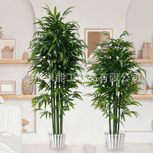 �������Ӹ��F��٘�͏d�bƵ�Gɫֲ��������������辰