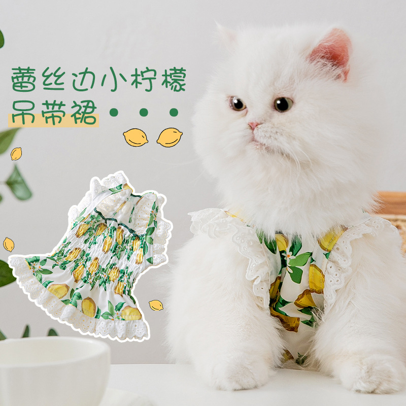Gato primavera y verano borde de encaje fresco pequeño limón suspender falda verde dulce perro vestido ropa para perros mascotas