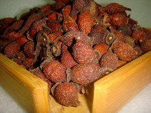 (])V ҰӴ̹ɽʯӢݾ  500