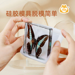 GWIZ Children's Handmade DIY Amber Making Educational Toy Plant Butterfly Insect Specimen Science Experiment Set