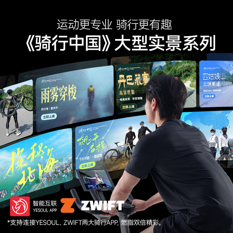 Electric dynamic professional bike for car