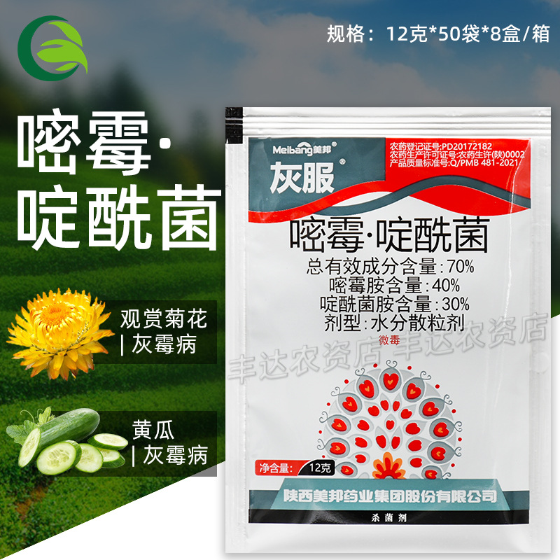 美邦灰服70%嘧霉·啶酰菌黄瓜观赏菊花灰霉病农用农药杀菌剂12克