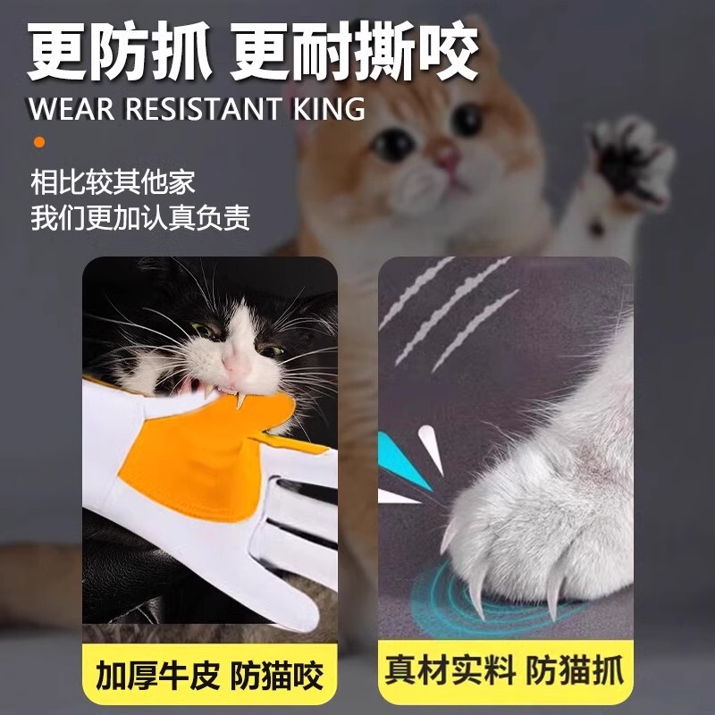 手袋をかむのを防ぐために、猫をかむのを防ぐために、犬を訓練します。|undefined