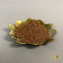 ?��۳����̴��1�������l�Z�掤����ѿׯ����޹��׭�����ľճ