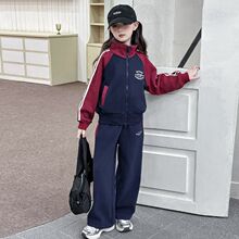 女童套装2025春秋季新款洋气网红中大童女孩休闲运动阔腿裤两件套