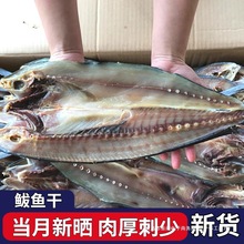 ���E�~��500g�O���ԕ񺣮a�R�o�~���E�~���~�ɺ��rˮ�a��؛�خa