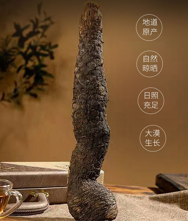 Cistanche Deserticola Rou Cong Rong Oil-Processed Slices 500g TCM Kidney Yang Tonic Herb overview