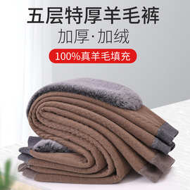 五层特厚冬季羊毛棉裤批发男女士高腰驼绒裤大码护膝护腿保暖裤