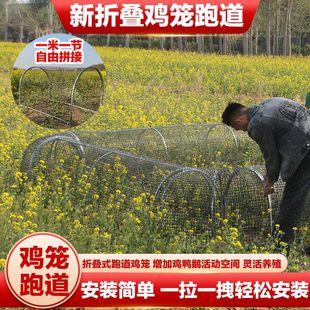 跑道鸡笼走地鸡养鸡搭建跑笼可移动隧道养殖笼防鼠鸭笼鸡舍笼子鹅-阿里巴巴