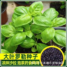 ʳô~_շNӾŌ𲻓QNѷֲͥԺ̨߲˷N