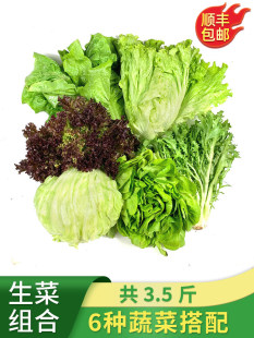 ɳ���߲˽M��3.5�� �����˿�����r����b����ɳ�������pʳ�߲�