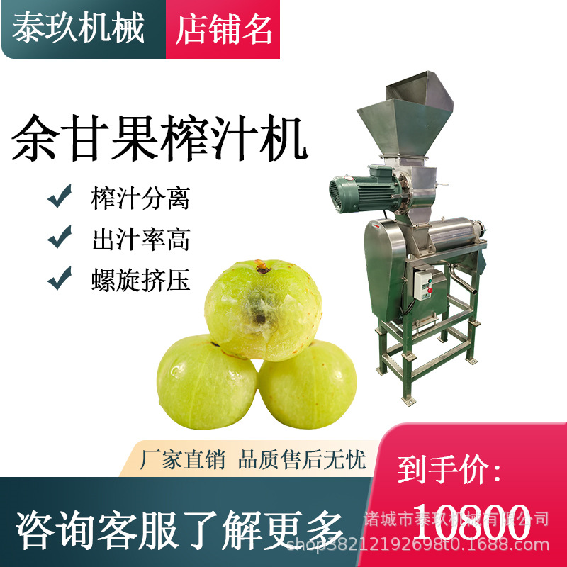 余甘果破碎榨汁机 青苹果螺旋挤汁机 果蔬汁加工设备 桑葚打浆机
