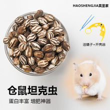 仓鼠零食坦克虫金丝熊蜜袋鼯通心粉花枝鼠高蛋白杨拉罐增肥粮