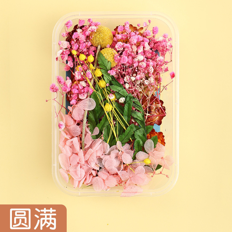 永生花ドライフラワーdiy材料箱入り混合模造花風乾手作り団扇キャンドルフォトフレーム装飾|undefined