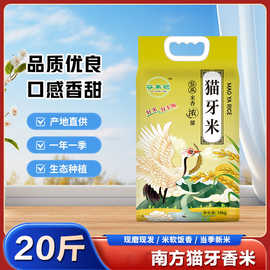 猫牙米晚稻新大米新鲜南方生态长款丝苗香米工厂批发代发