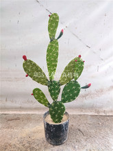 зצ辰Ƶ͏d[bGֲ