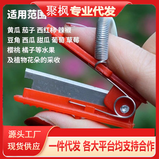Cucumber and Bean Finger-Picking Tool, Ring Knife, Small Sickle for Picking Peppers and Grapes, Pruning and Fruit Picking