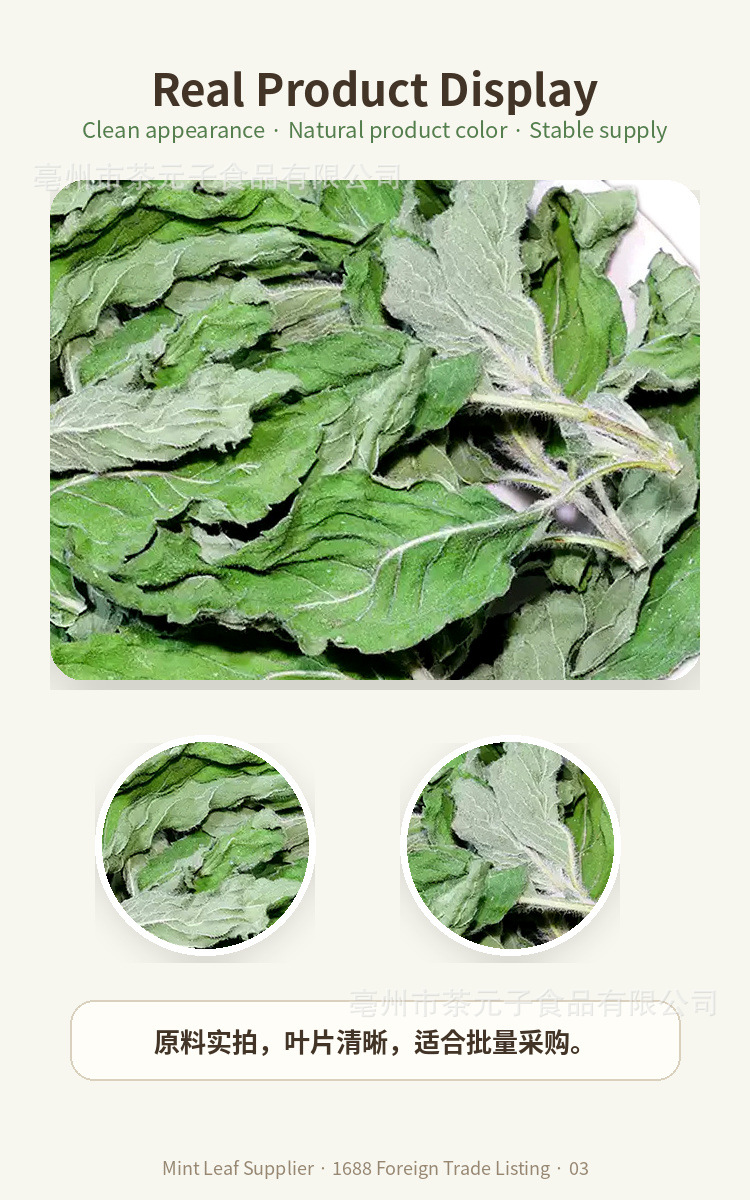 Dried Peppermint Leaf Bo He 薄荷叶 Herbal Tea Ingredient 500g key features