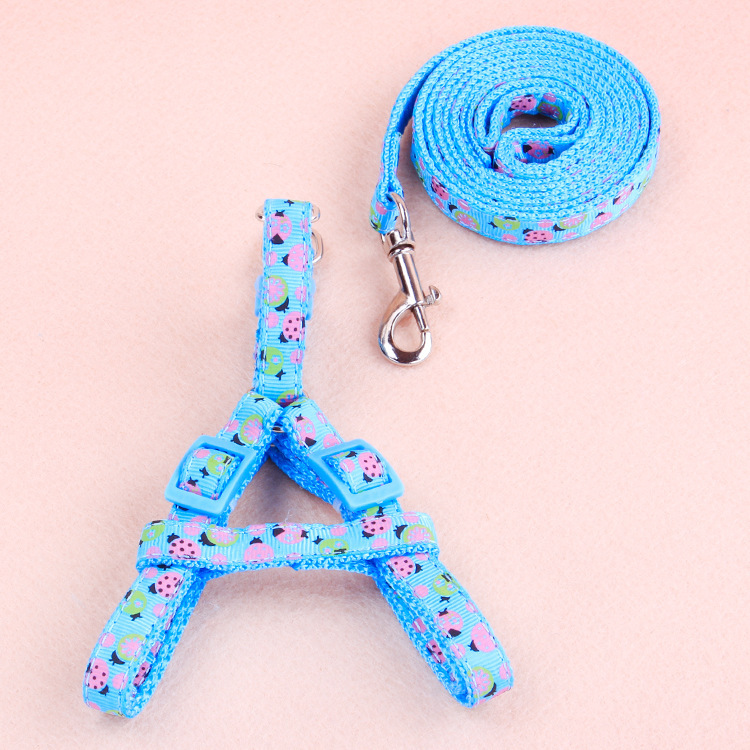 Cuerda de tracción para mascotas, correa para el pecho, pequeño y mediano Teddy Corgi, gato y perro paseando, juego de cuerda de tracción telescópica, impresión en forma de trabajo