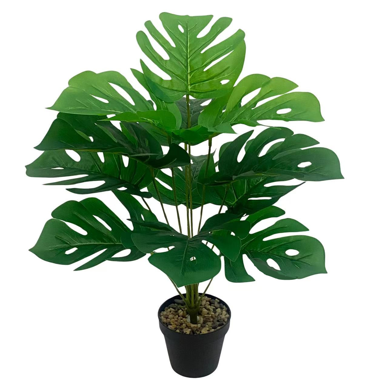 微信图片_20250501140609_副本