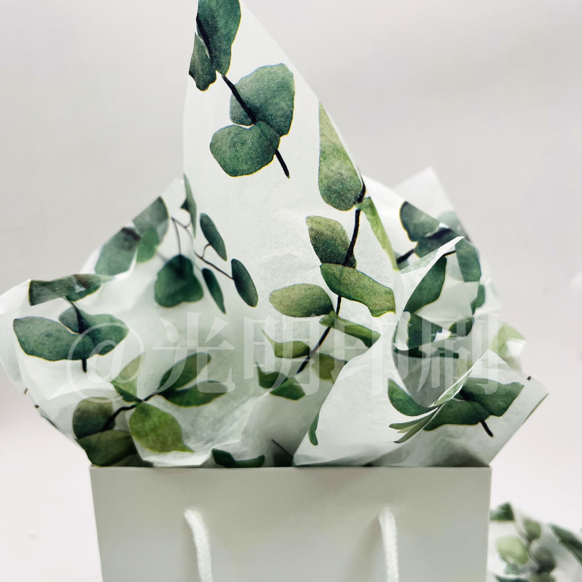 Wilderness Forest Eucalipto Hojas de papel de Sydney Patrón verde Cortar flores Caja de regalo Papel de revestimiento Papel de embalaje de ropa